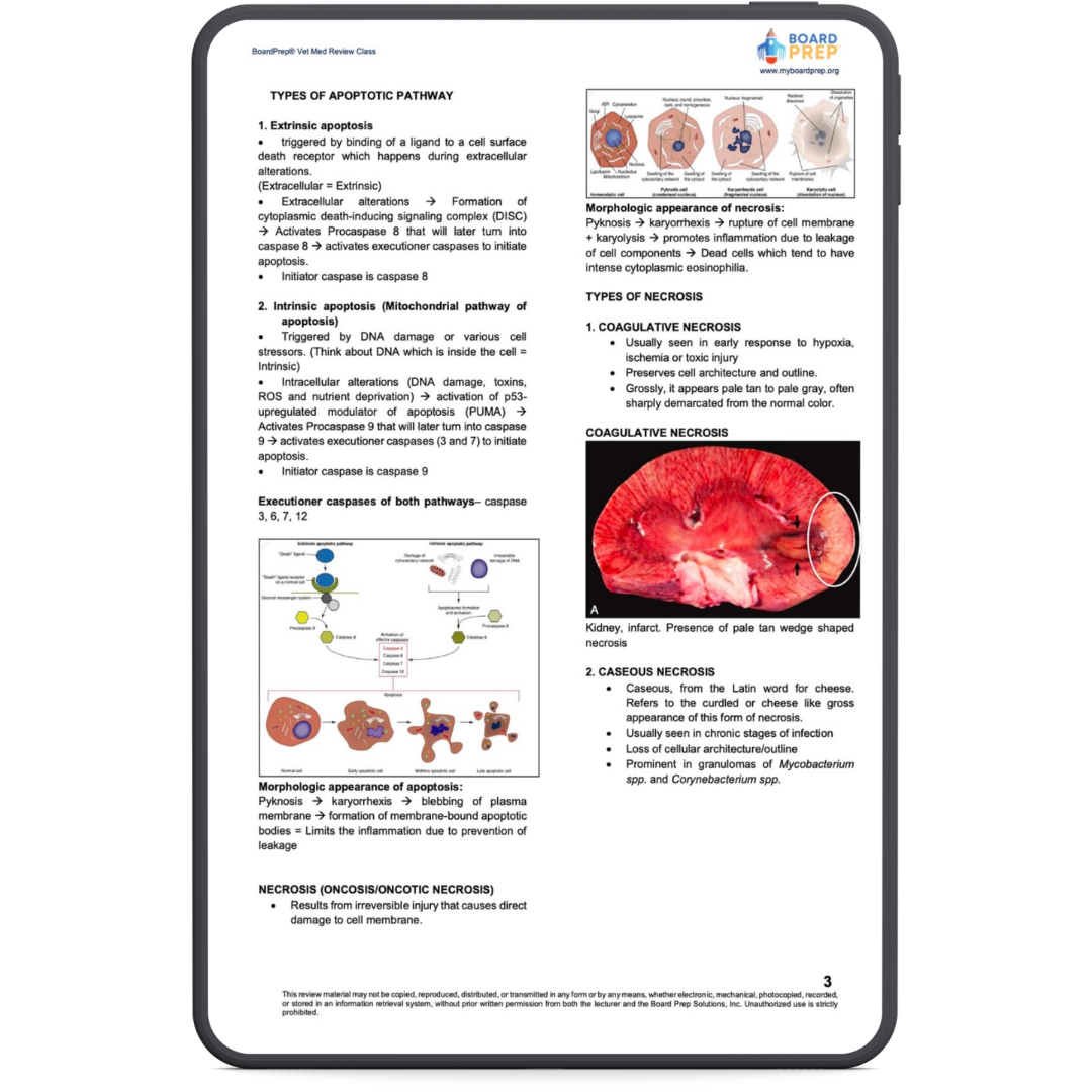 Online Review Class - Tablet